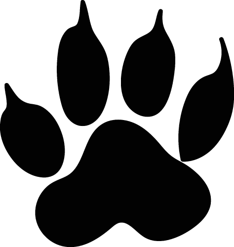 Animal footprint icon