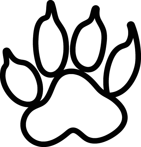 Animal footprint icon