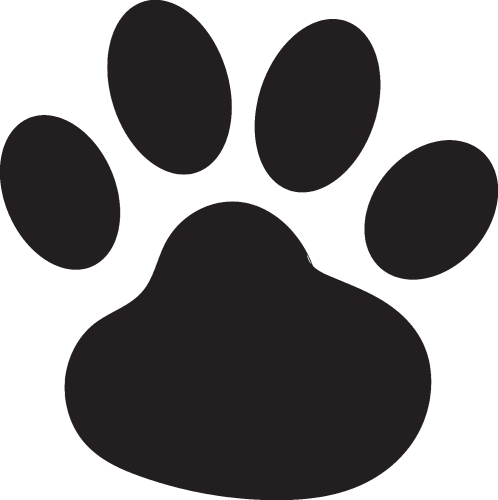 animal footprint icon