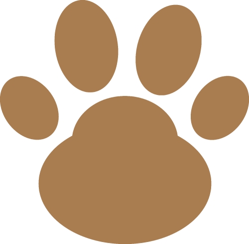 Animal footprint icon sign design