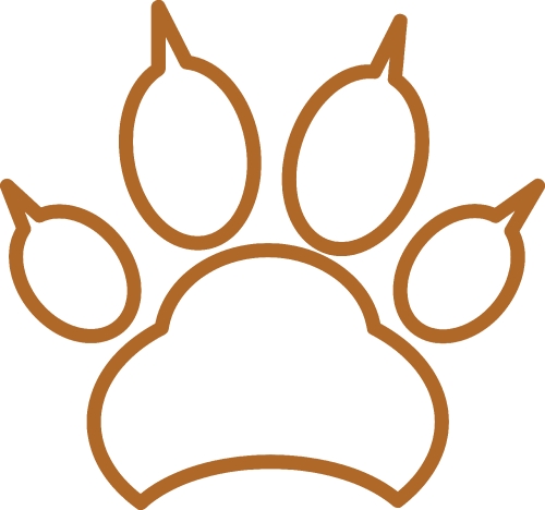 Animal footprint icon sign design