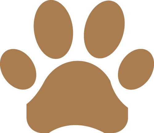 Animal footprint icon sign design