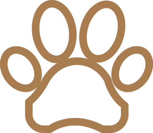 Animal footprint icon sign design