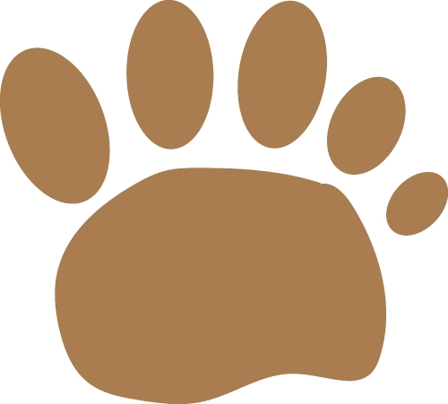 Animal footprint icon sign design