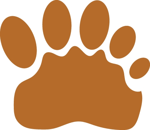 Animal footprint icon sign design