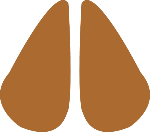 Animal footprint icon sign design