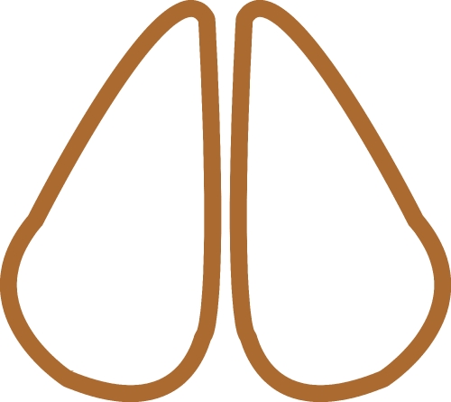 Animal footprint icon sign design