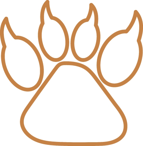 Animal footprint icon sign design