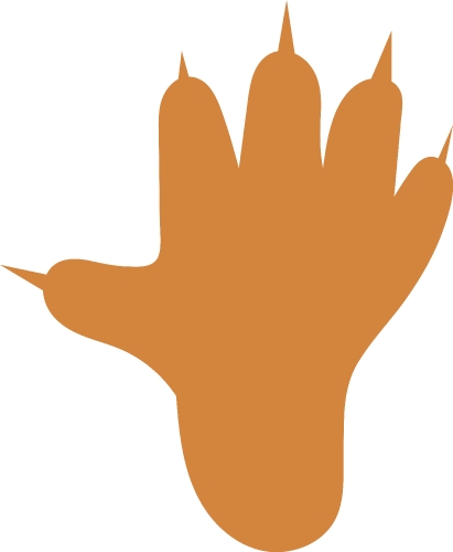 Animal footprint icon sign design