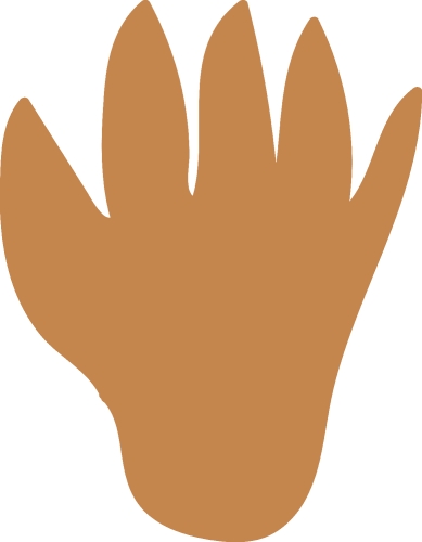 Animal footprint icon sign design