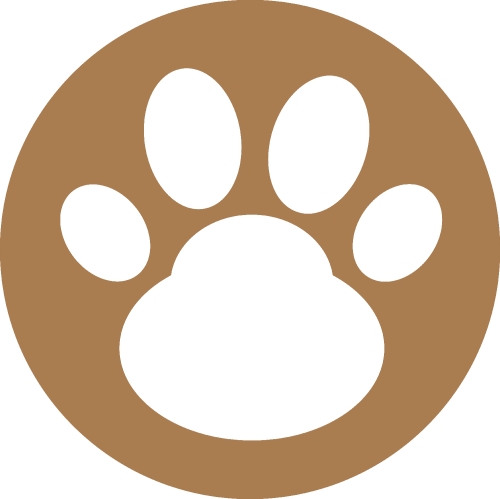 Animal footprint icon sign design