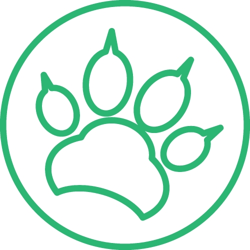 Animal footprint icon sign design