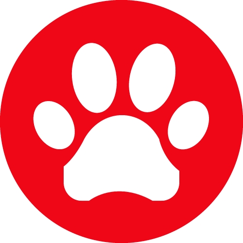 Animal footprint icon sign design