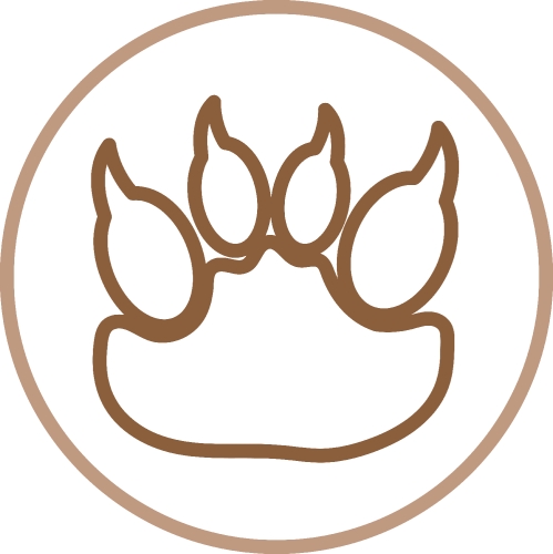 Animal footprint icon sign symbol design