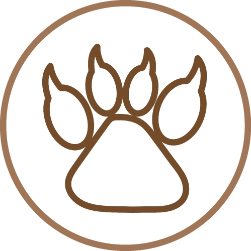 Animal footprint icon sign symbol design