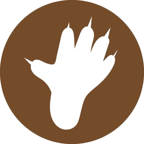 Animal footprint icon sign symbol design