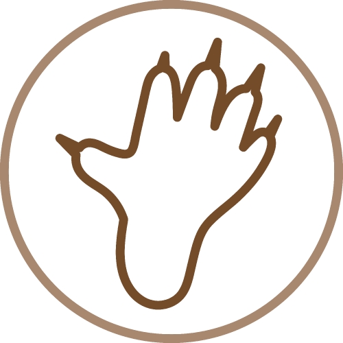 Animal footprint icon sign symbol design