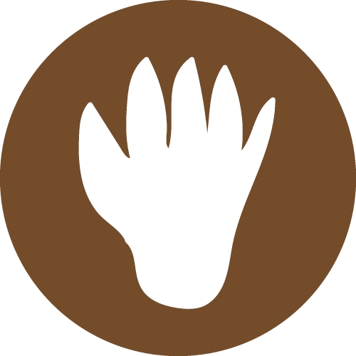 Animal footprint icon sign symbol design