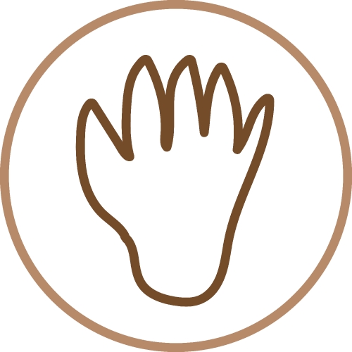 Animal footprint icon sign symbol design