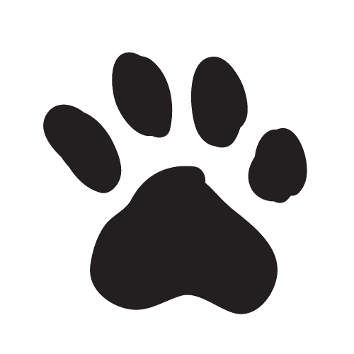 Animal Paw Print Icon