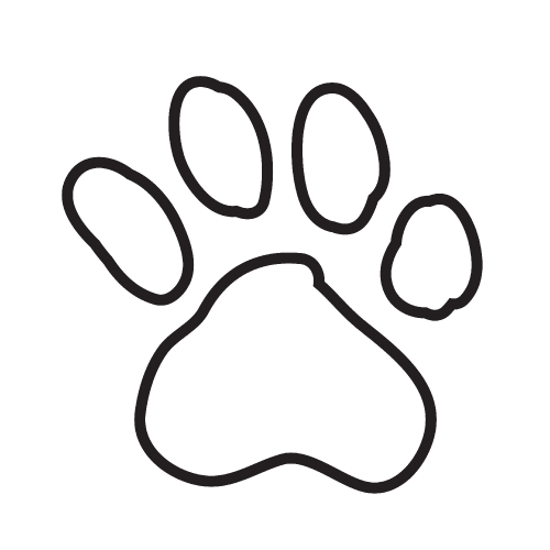 Animal Paw Print Icon