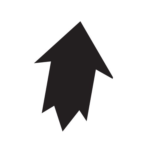 arrow  icon