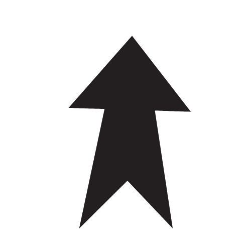 arrow icon