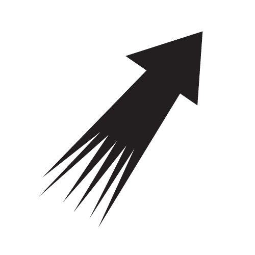 arrow icon