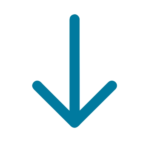 Arrow icon