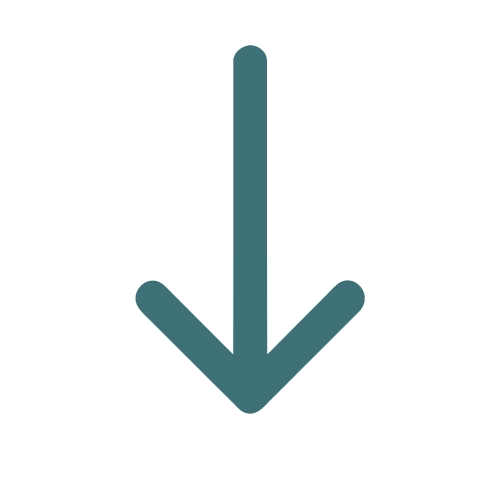 Arrow icon