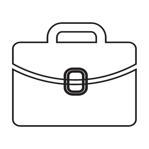 Bag Icon