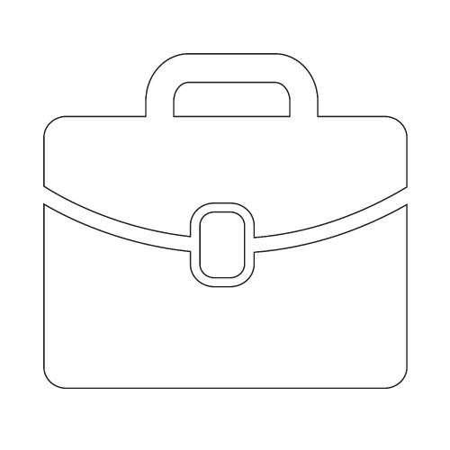 Bag Icon