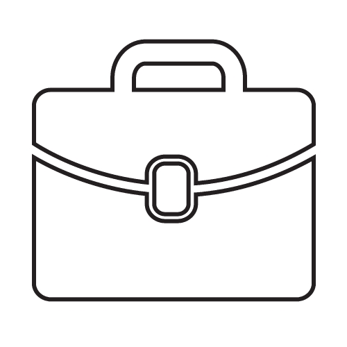 Bag Icon