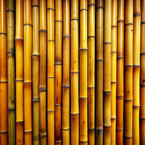 Bamboo background abstract texture wallpaper design