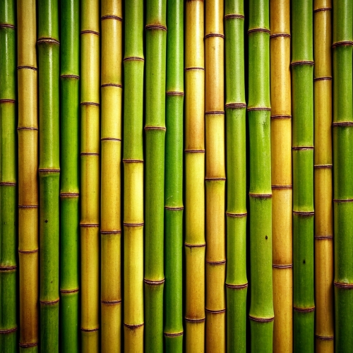 Bamboo background abstract texture wallpaper design