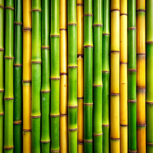 Bamboo background abstract texture wallpaper design