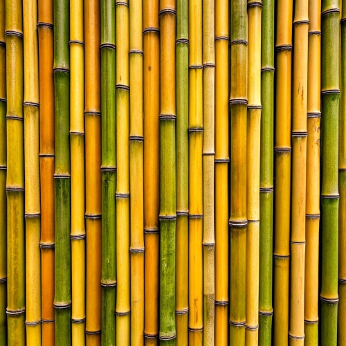 Bamboo background abstract texture wallpaper design