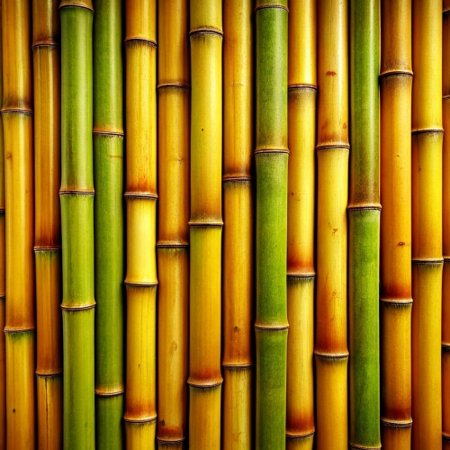 Bamboo background abstract texture wallpaper design