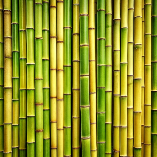 Bamboo background abstract texture wallpaper design