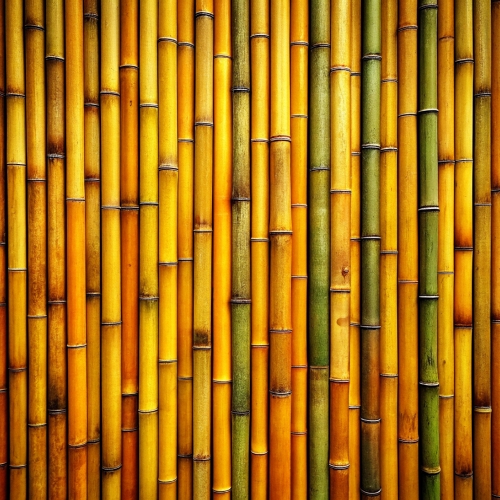 Bamboo background abstract texture wallpaper design