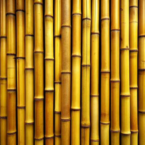 Bamboo background abstract texture wallpaper design