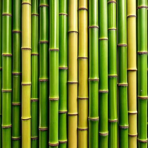 Bamboo background abstract texture wallpaper design