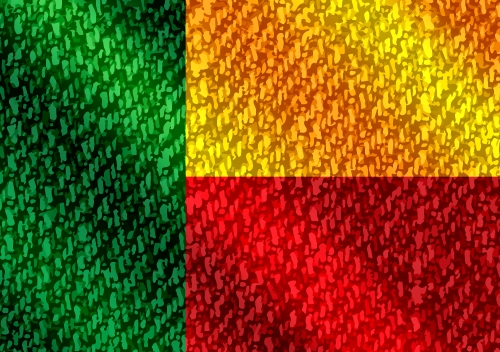 Benin flag themes idea design