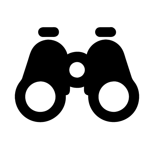 Binocular icon