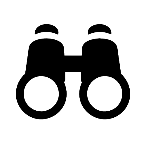 Binocular icon