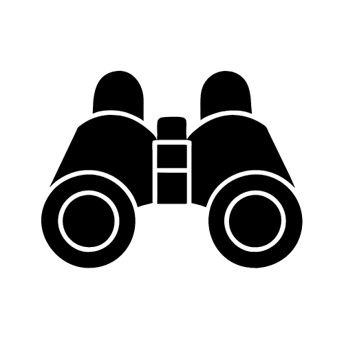 Binocular icon