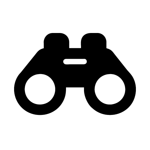 Binocular icon