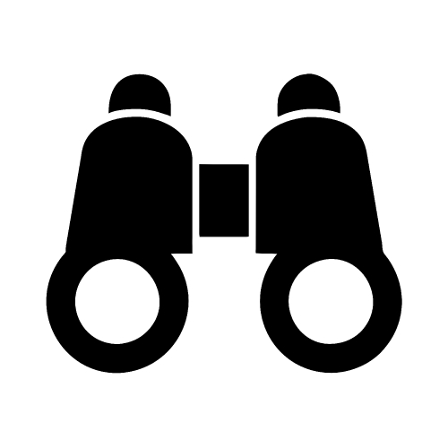 Binocular icon