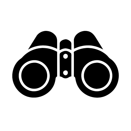 Binocular icon