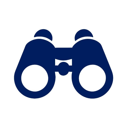 Binocular icon